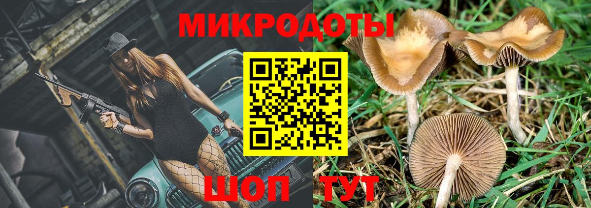 Калач-на-Дону  Галлюциногенные грибы MAGIC MUSHROOMS  наркота  Вход с VPN 